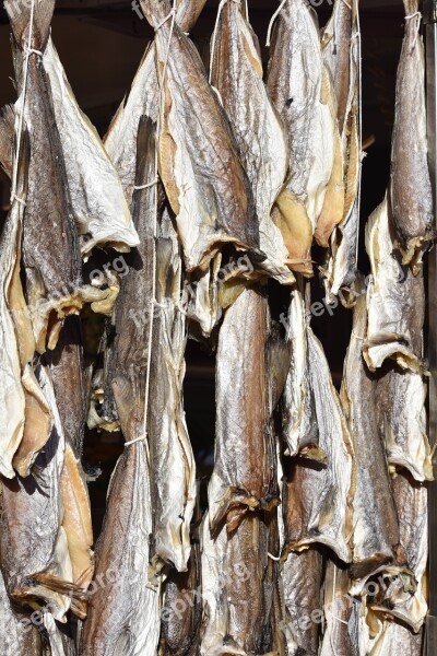 Fish Whiting Dried Fish Power Supply Food