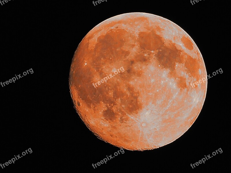 Super Moon Moon Full Moon Free Photos