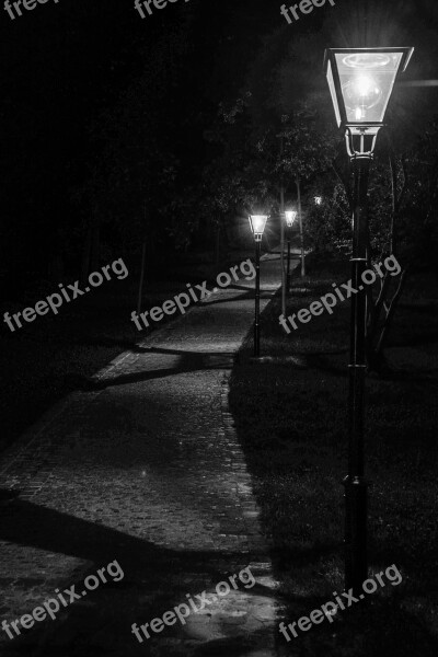 Path Lights Black And White Park Empty