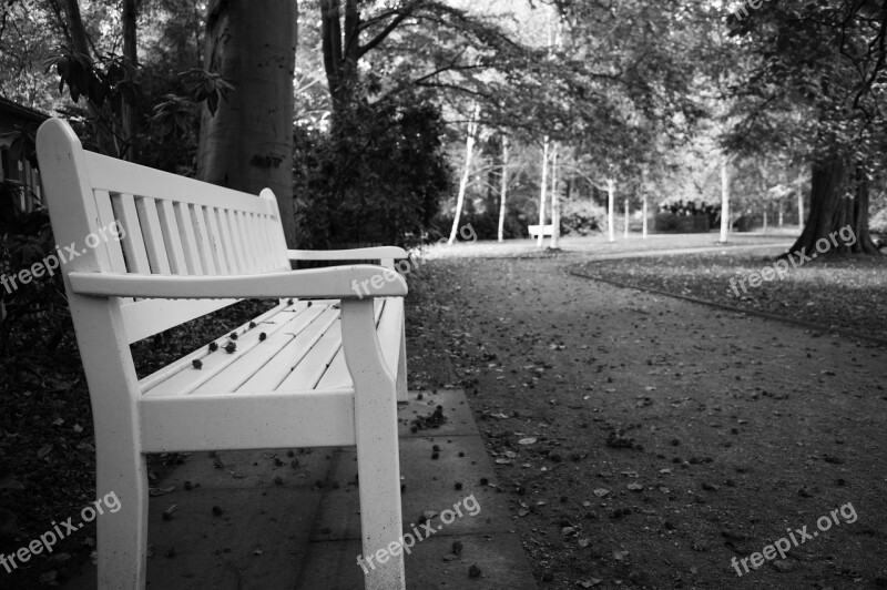 Park Bench Black And White Seat Rest Nature