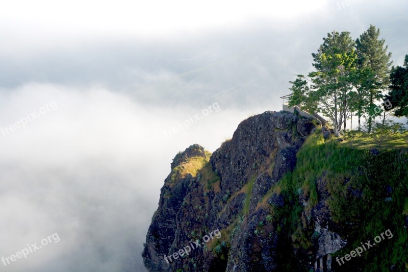 El Salvador Pimp Hill Fog Trees Pine