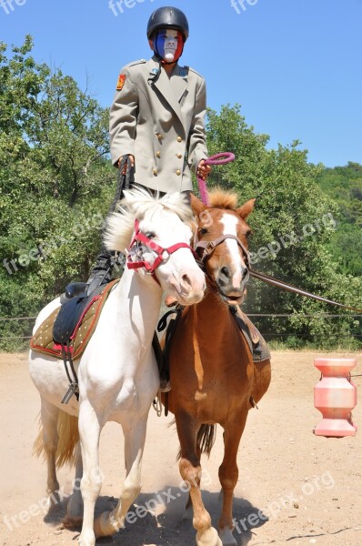 Horses Animals Show Costume Nature