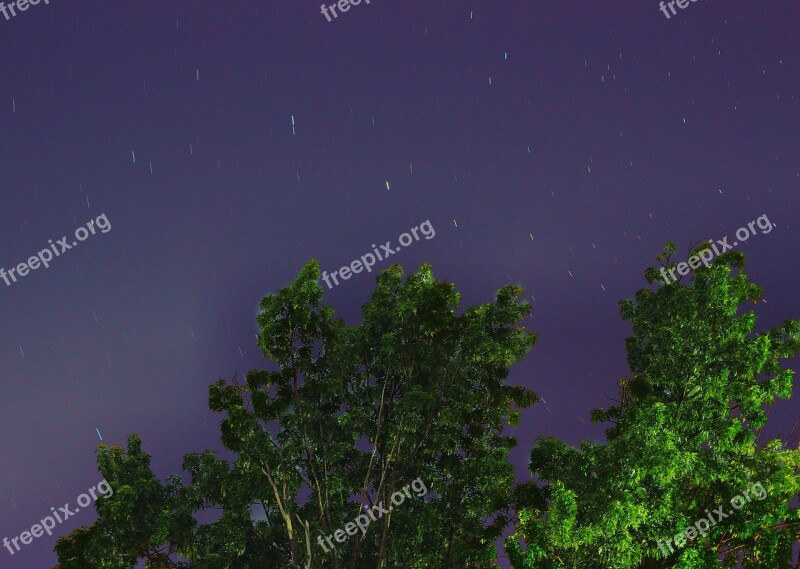 Star Sky Tree Night Space