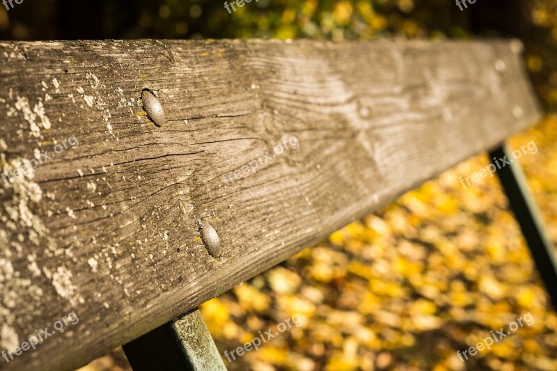 Bench Session Sit Autumtexture Rear