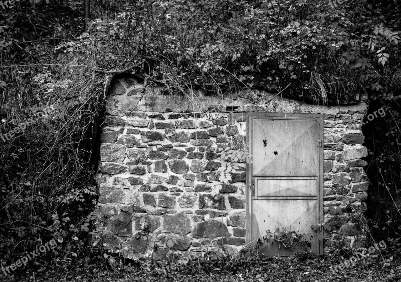 Entrance Door Scary Forest Black And White