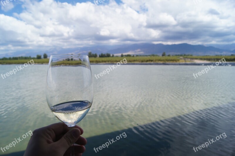 Vineyard Mendoza Wine Uco Valley Free Photos