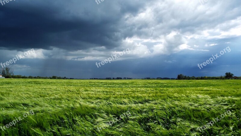 Storm Wheat Cloud Wheatfield Plains