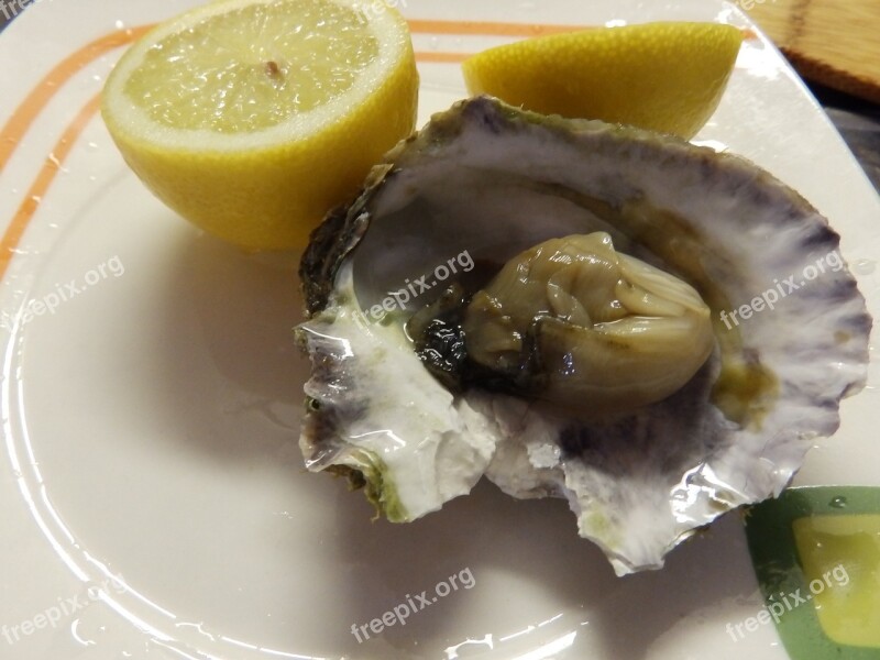 Oyster Fruits Sea Free Photos