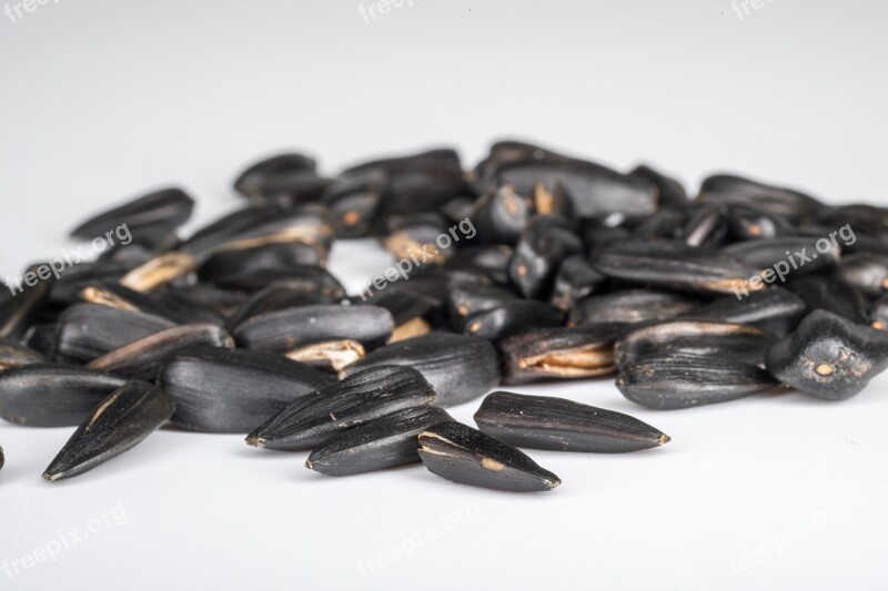 Seeds Sunflower Seeds Background Sunflower Black