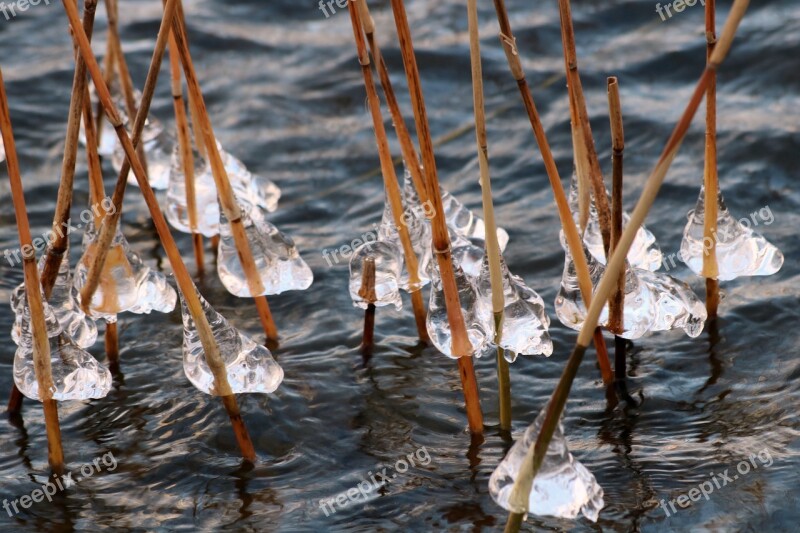 Ice Water Lake Cane Nature