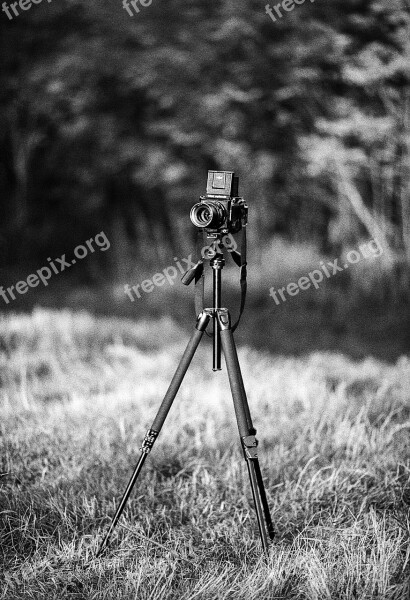 Camera Mamiya Tripod Photography Photo