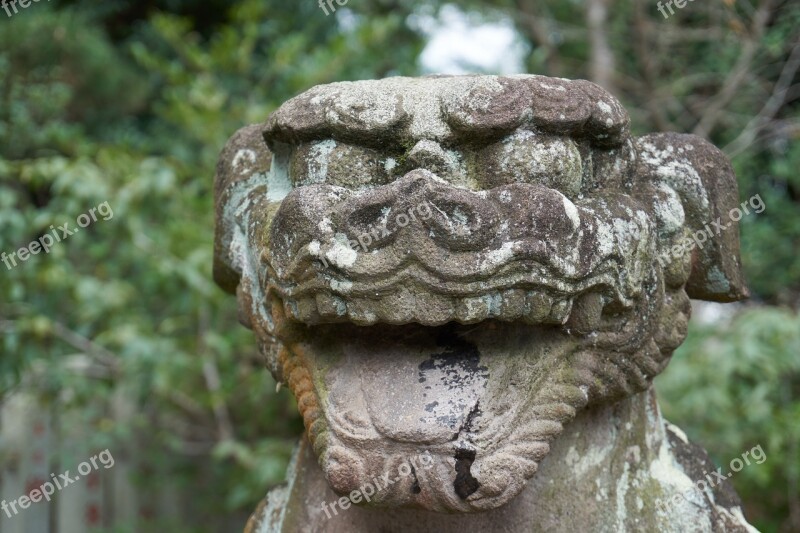 Guardian Dogs Shrine Japan Free Photos