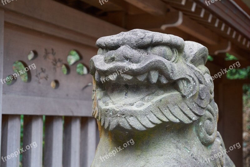 Guardian Dogs Shrine Japan Free Photos