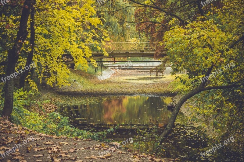 Autumn Nature Green Yellow Leaves