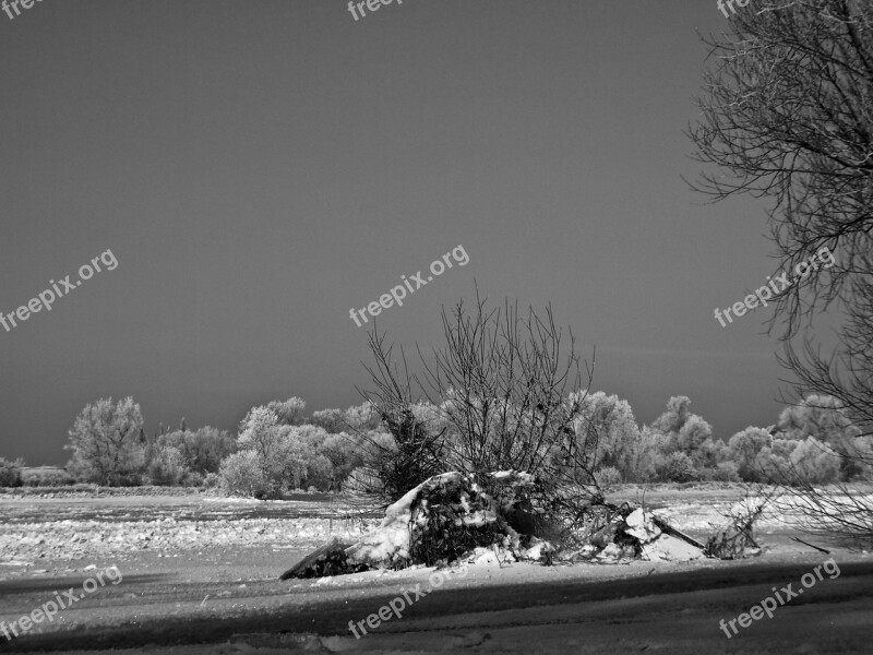 Winter Elbe Ice Floes River Landscape Wintry