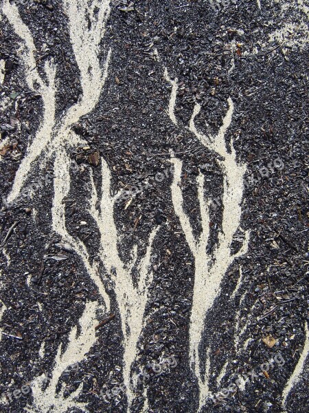 Beach Sand Pattern Wind Ground