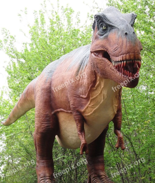 Tyrannosaurus Rex Dinosaur Giant Dinosaur Free Photos