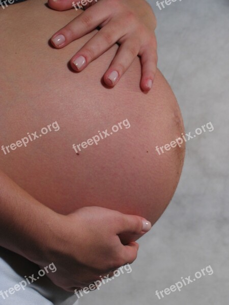 Gestation Pregnancy Belly Pregnant Baby