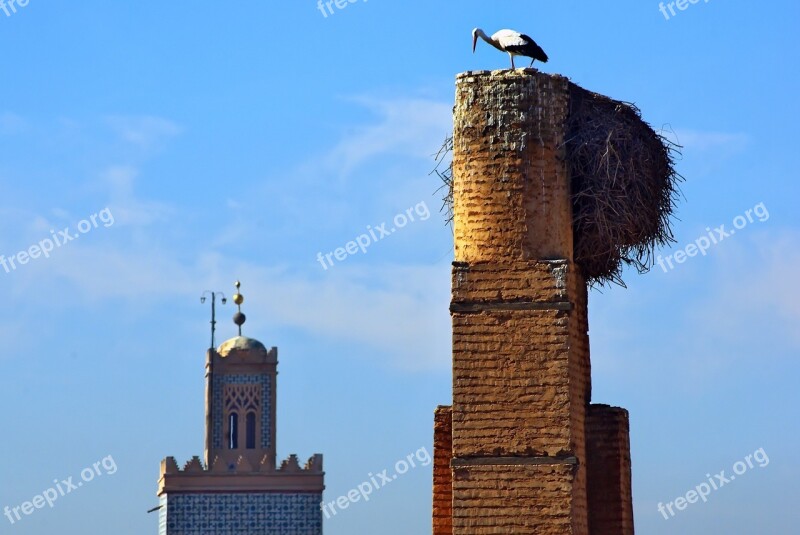 Marrakech Stork Palace Baadi Nest Migration