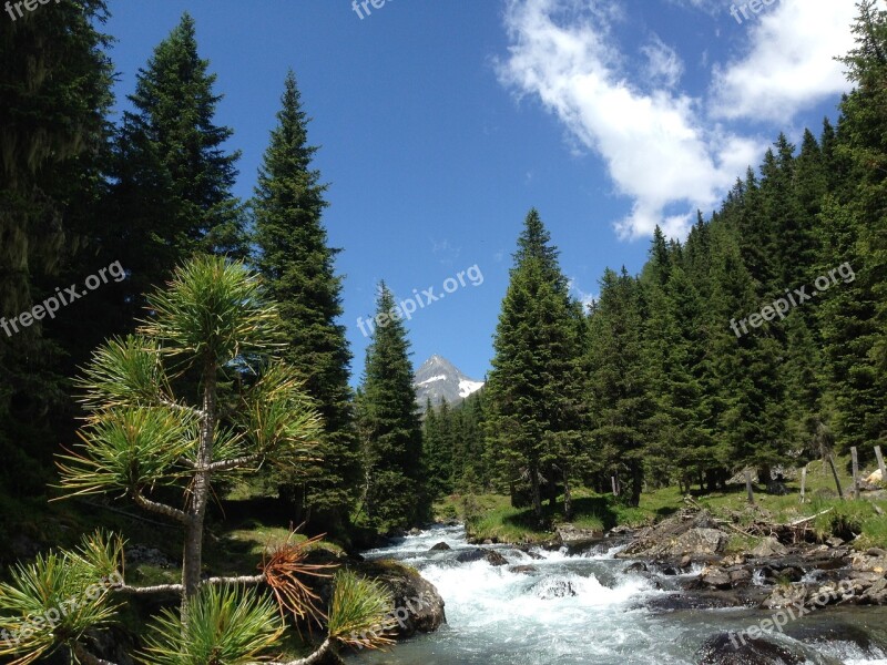 East Tyrol Debanttal Tyrol Nature Free Photos