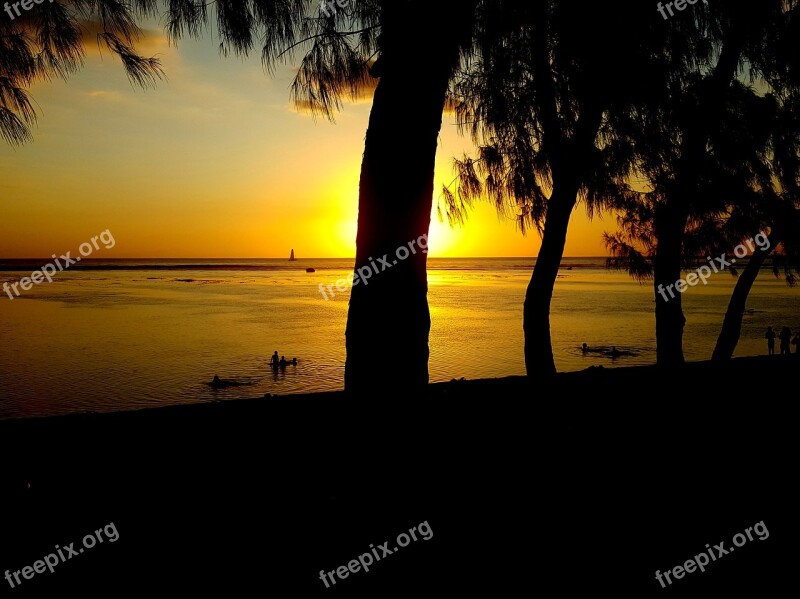 La Réunion Sunset Beach Sea Palm Trees