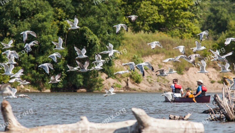 Canoe River Boat Water Nature