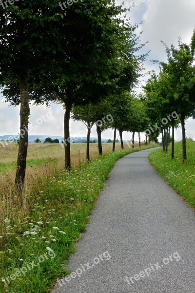 Cycle Path Trees Landscape Nature Trail