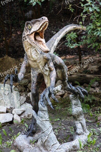 Dinosaur Velociraptor Dinopark Lizard Free Photos