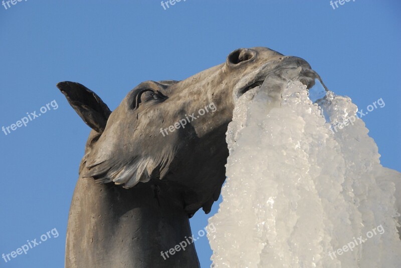 Horse Statue Ice Gel Winter