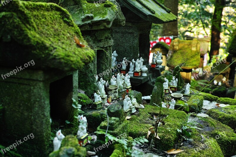 Shrine Fox Moss Green Japan