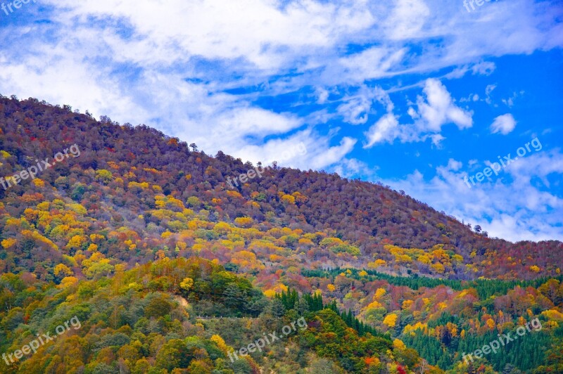 Japan Autumnal Leaves Akiyama Township Valley Autumn