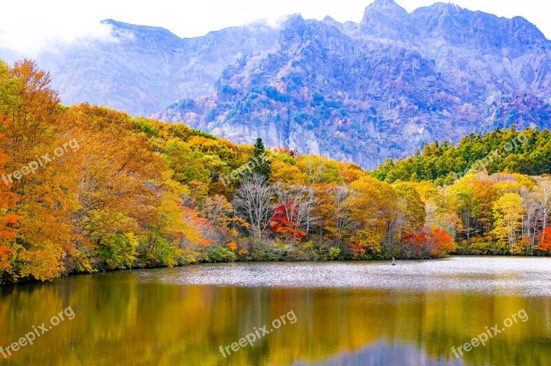 Japan Togakushi Autumnal Leaves Kagamiike Mountain