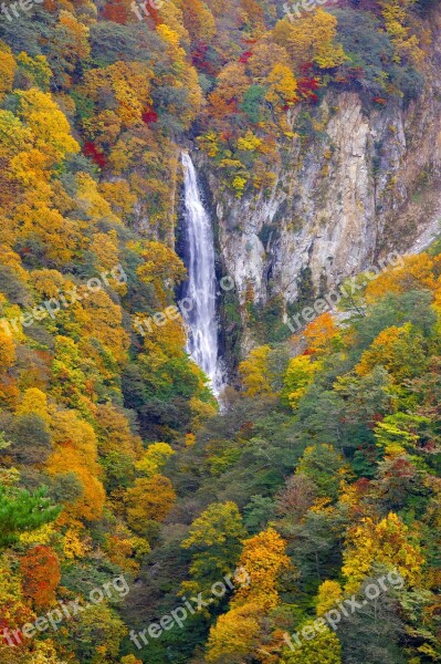 Japan Autumnal Leaves Shiga Kogen Valley Autumn