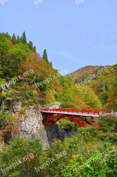 Japan Autumnal Leaves Akiyama Township Valley Autumn