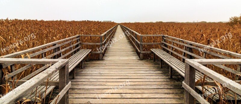 Spring Lake Web Boardwalk Mood Landscape