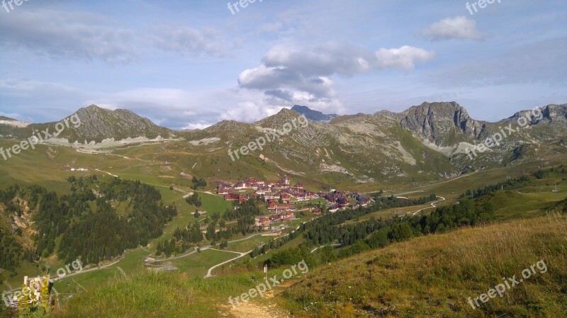 Nature Flowers Mountains Mountain Summer