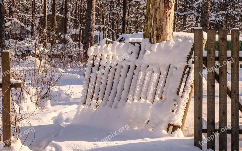 Winter Michurinskiy Beauty Snow Russia