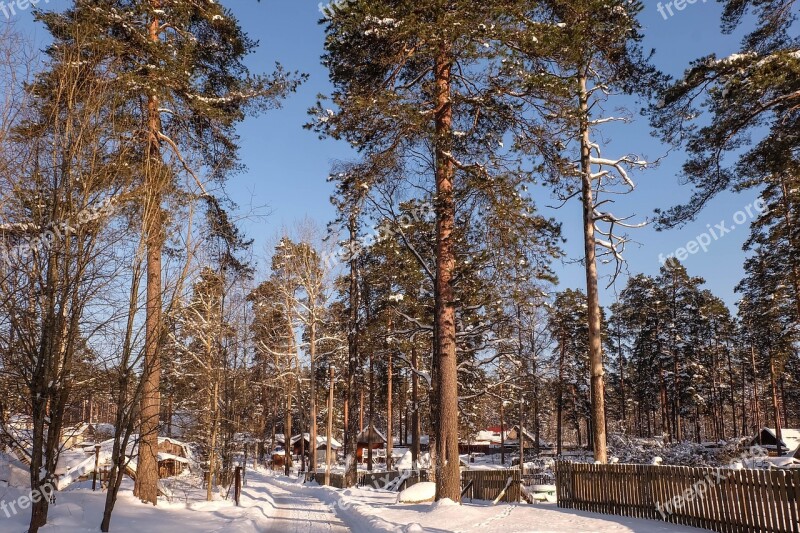 Winter Michurinskiy Beauty Snow Russia