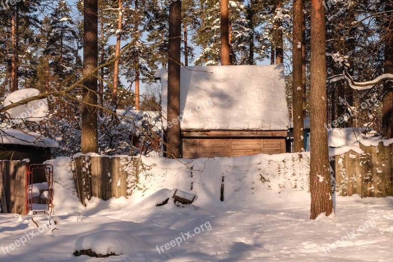 Winter Michurinskiy Beauty Snow Russia