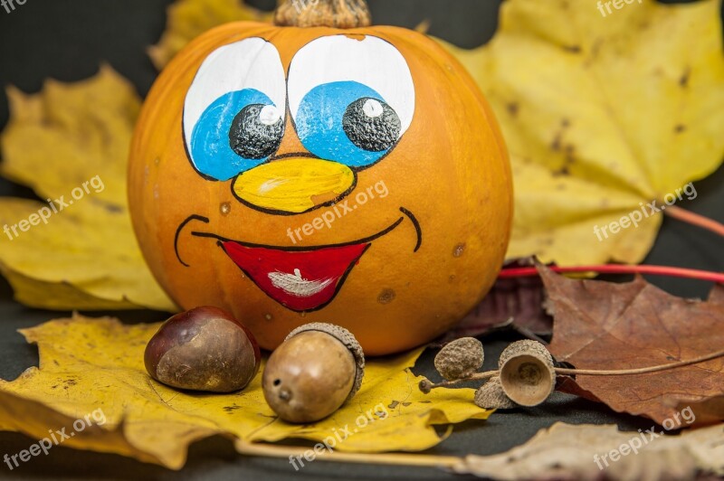 Autumn Leaves Laughing Pumpkin Acorns Free Photos