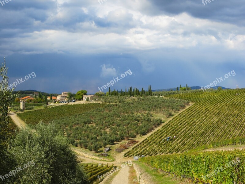 Ama Chianti Tuscany Italy Wine