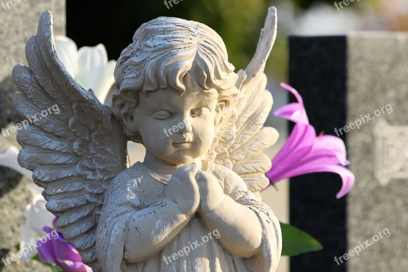 Angel Praying Sculpture Statue Monument Violet Flowers