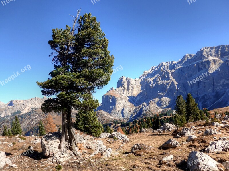 Sella Yoke Dolomites Alpine Nature Sella Group