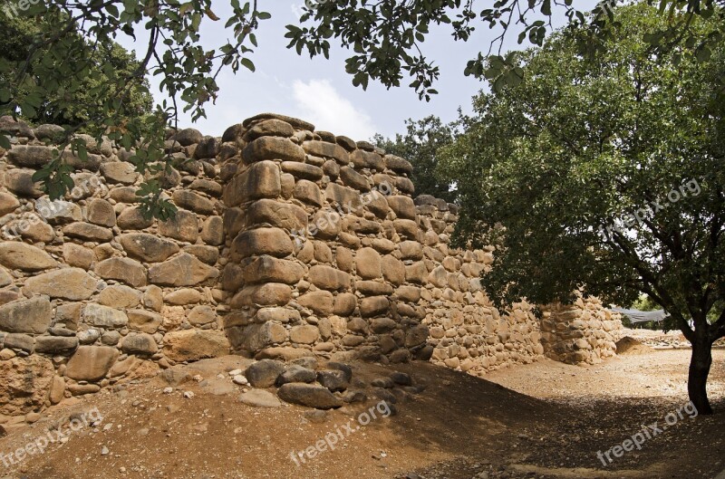 Tel Dan Israel Biblical Site Dan Tourism