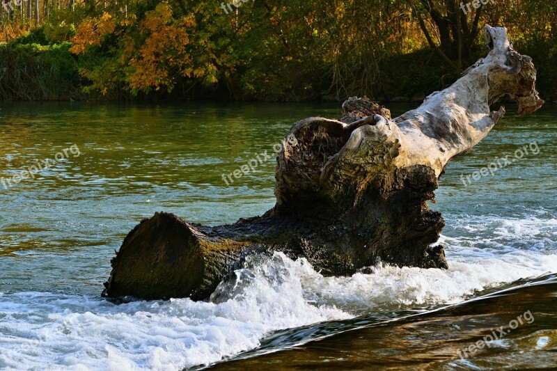 Water Stump Waterfall Nature Free Photos