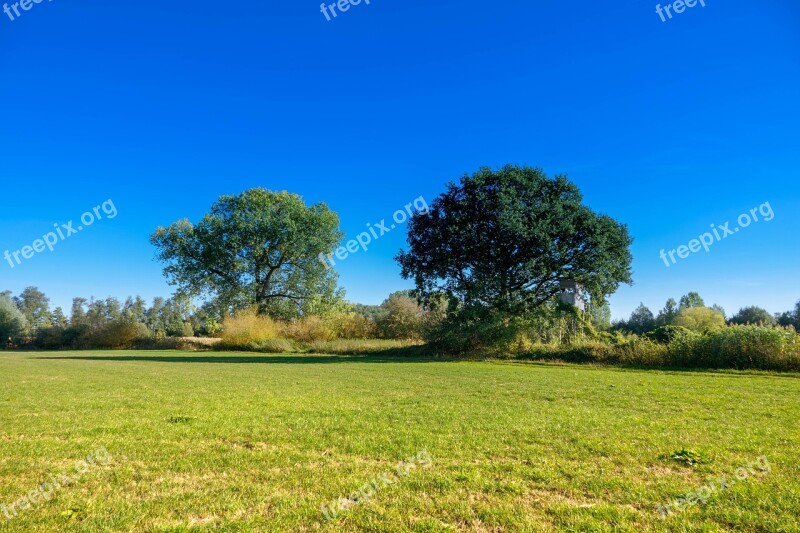 Meadow Perch Trees Landscape Nature