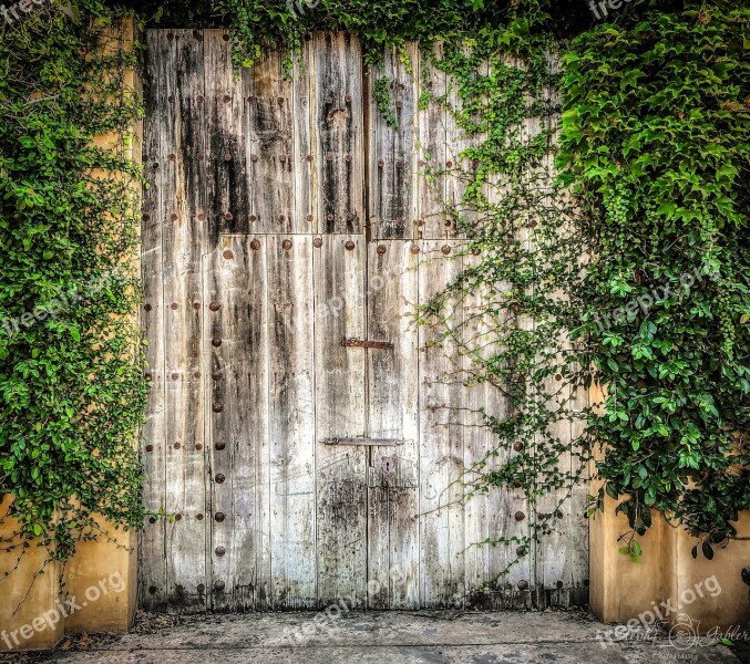 Gate Fence Creepy Entrance Rural