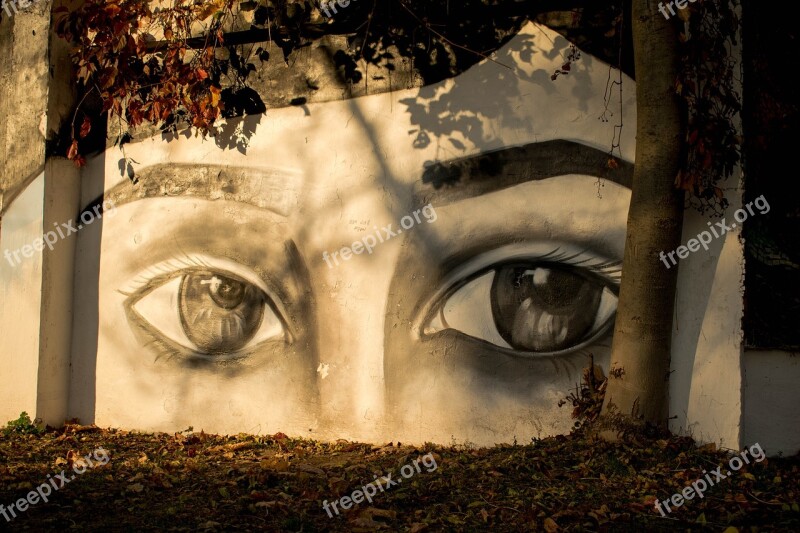 Zhitomir Street Art Eyes Graffiti Free Photos