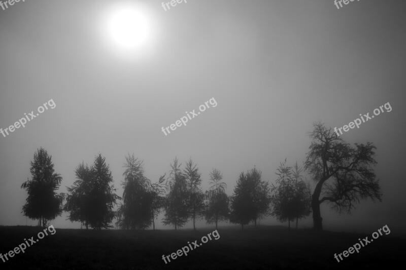 Dolenjska Slovenia Slovenija Landscape Nature