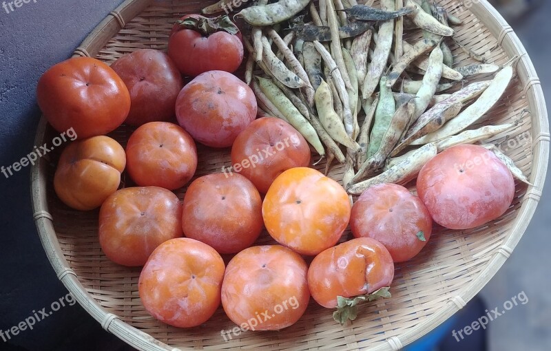 Persimmon Bean Autumn Harvest Sejong City